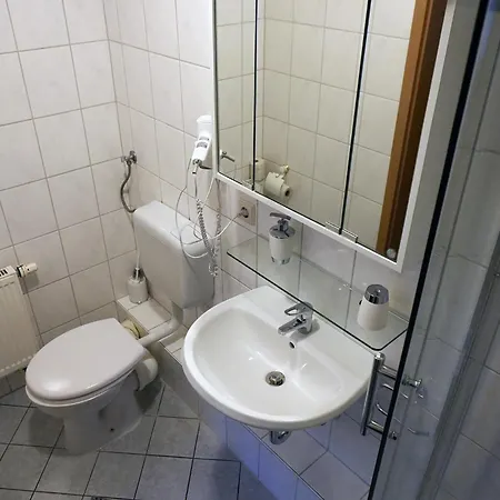 Gasthaus&pension Blume 3* Ötigheim